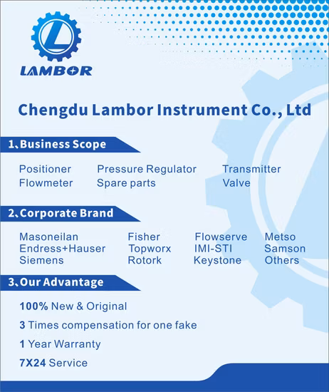 Original Fisher Gg20240X052 50mm Valve Magnetic Stripe Linear Feedback High Precision